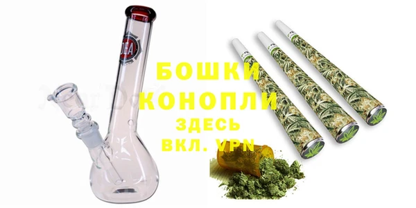 хмурый Горняк