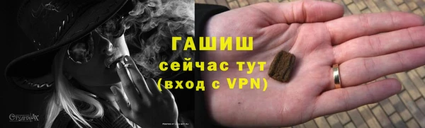 ГАЛЛЮЦИНОГЕННЫЕ ГРИБЫ Гусев