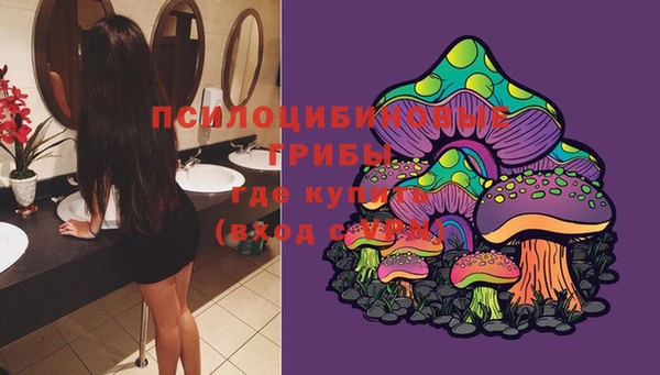 хмурый Горняк