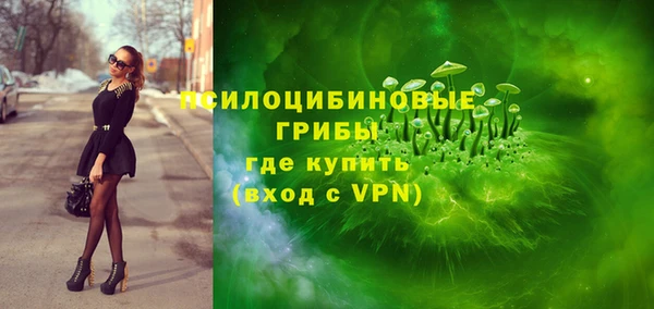 a pvp Горнозаводск